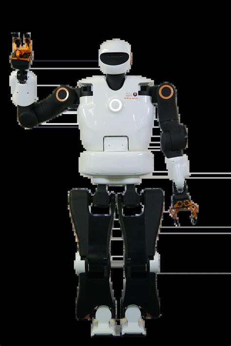 humanoid biped robot